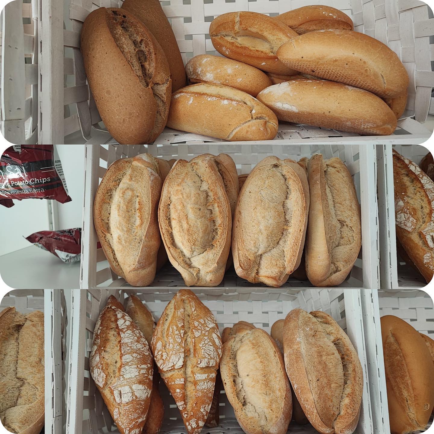 341339013_220947023871924_8453836591453346730_n